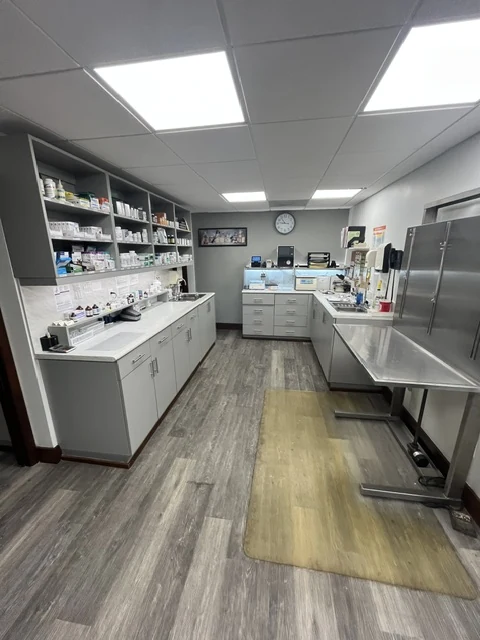 Veterinary diagnostics care in Miami