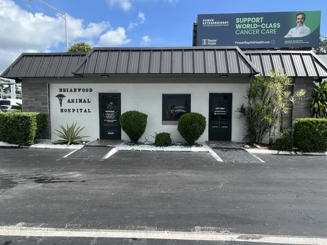 Briarwood Animal Hospital building on US-1 in Miami